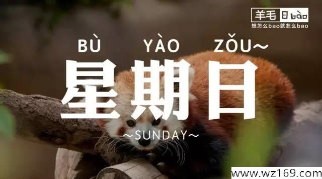 12月18日 信用卡羊毛日报