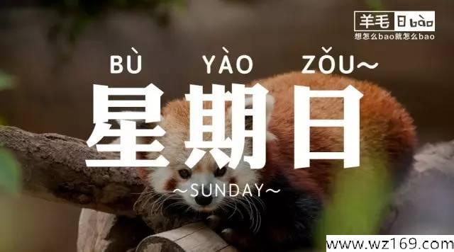 12月25日信用卡 羊毛日报