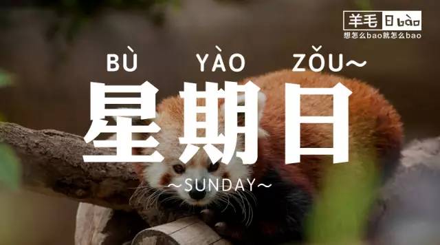 羊毛日报 | 2月26日 这个周末给你吃喝玩乐的优惠