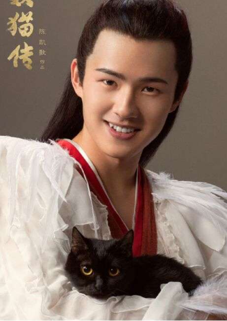 京东妖猫记电影票4个活动，没参加的来。。。。。。。。。
