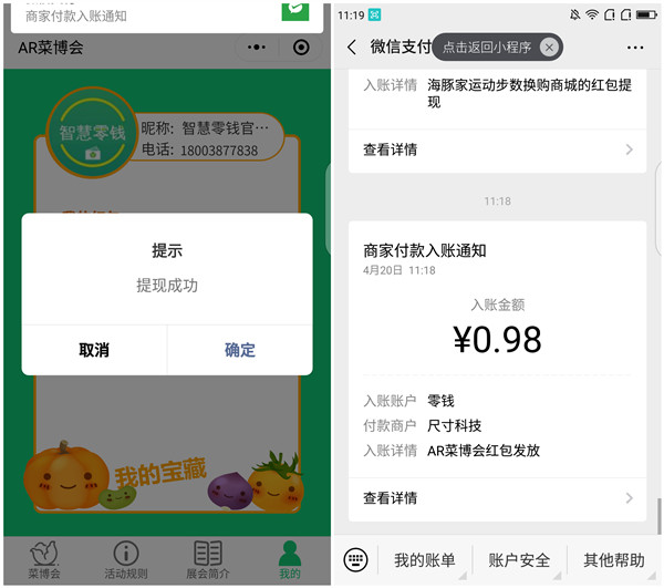 AR菜博会扫描寻宝抽现金红包_2次机会亲测0.98元_秒推送