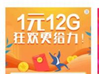 湖南移动1元购12G狂欢更给力，分12个月到账 免费流量 活动线报  第1张