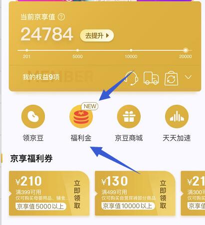 200-20全品类券