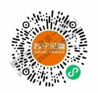 苏宁支付卷