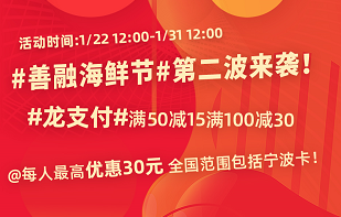 善融龙支付活动第二波！