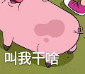 秒推送微信红包，快快快