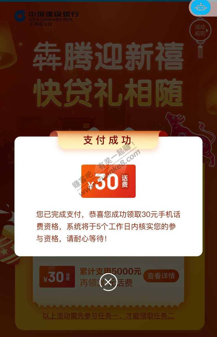 建行大毛