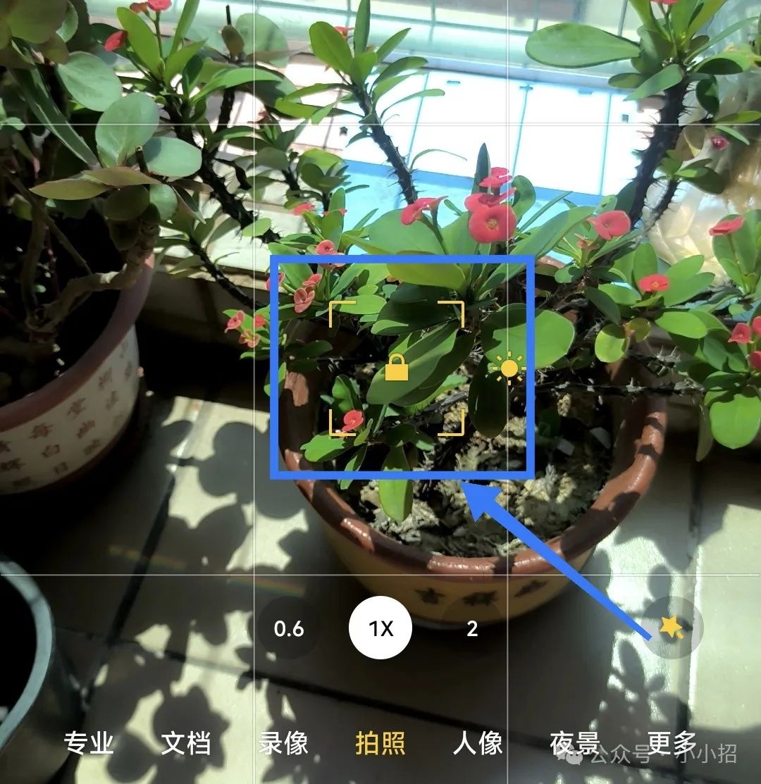 几个手机拍照录像小技巧非常实用,速收藏!